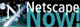 Download Netscape HERE